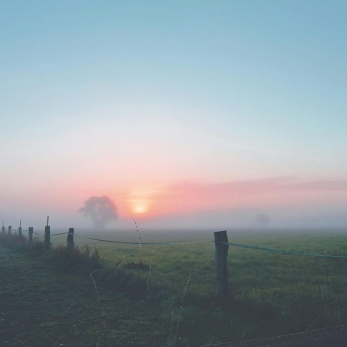 Peaceful Morning Landscape With Fog And Sunrise Over A Fenced Countryside Field.