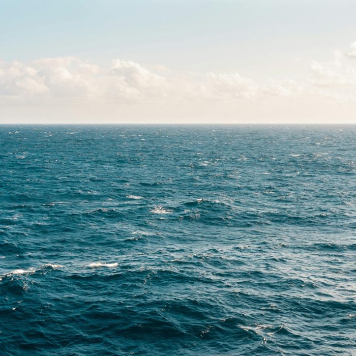 Tranquil Ocean View Under A Clear Sky, Capturing The Serene Beauty Of The Expansive Water.