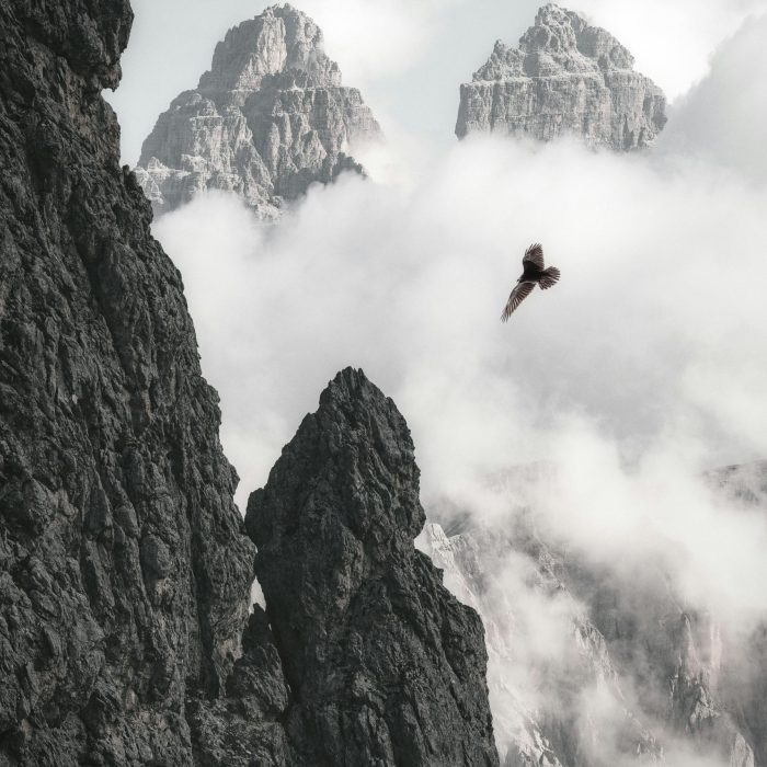 A Bird Soars Near Rocky Mountain Peaks Shrouded In Misty Clouds, Capturing Nature's Grandeur.