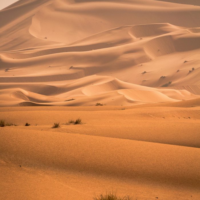Beautifully Captured Sand Dunes In The Sahara Desert, Showcasing The Vast Arid Landscape.