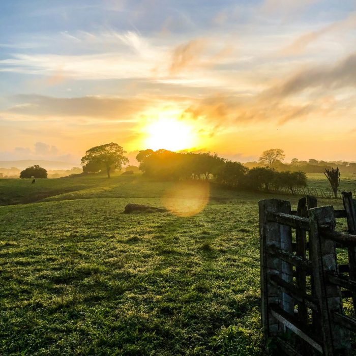 A Serene Sunrise Over A Lush, Green Meadow With Trees And A Rustic Gate, Capturing The Peaceful Rural Landscape.