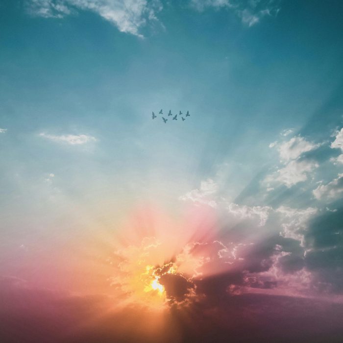 A Breathtaking View Of A Sunset Sky With Clouds And A Flock Of Birds Flying Across.