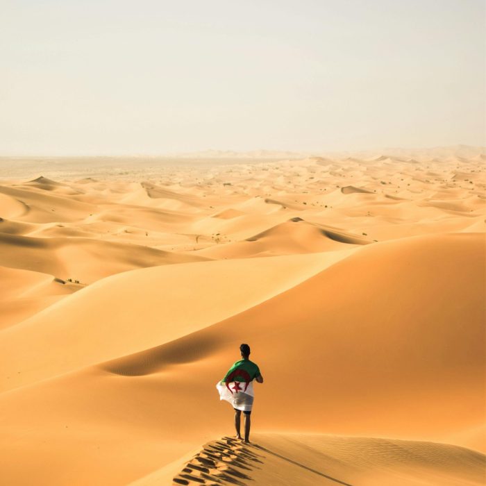 A Solitary Traveler Walks Across The Vast Sand Dunes Of The Sahara Desert In Algeria.