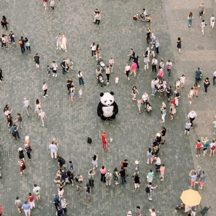 Aerial Shot Of A Bustling City Square With A Panda Mascot And Street Performers Engaging A Crowd.