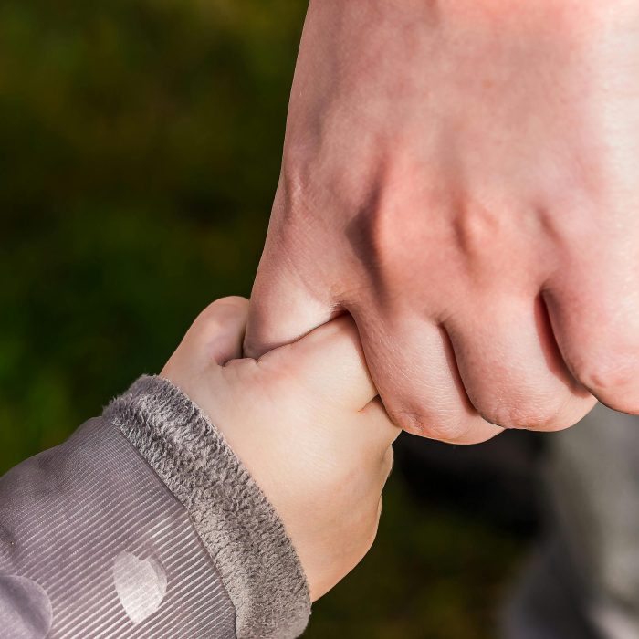 A Close Up Of A Child And Parent Holding Hands In A Park, Symbolizing Love And Trust.