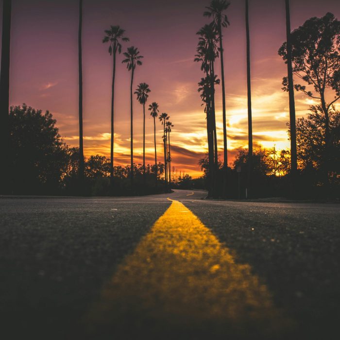 A Captivating Sunset View Of An Empty Highway Lined With Tall Palm Trees.
