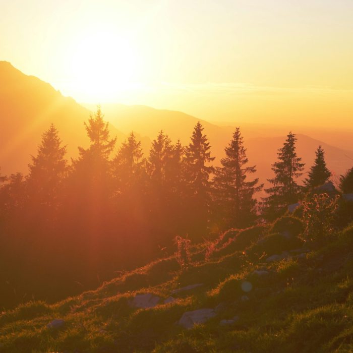 Vibrant Sunset Over Mountain Terrain With Silhouette Of Trees And Warm Orange Hues.