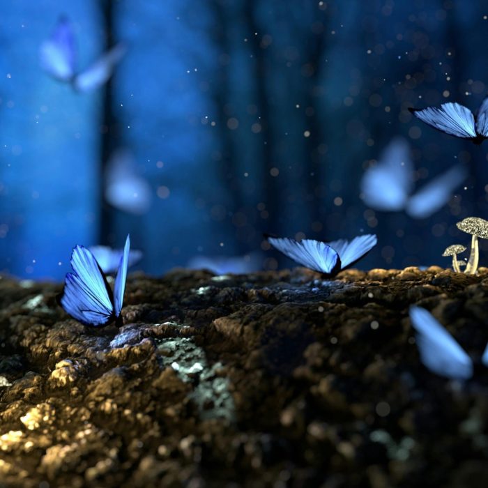 Magical Scene Of Blue Butterflies Fluttering Amidst Glowing Mushrooms In A Dark Forest.
