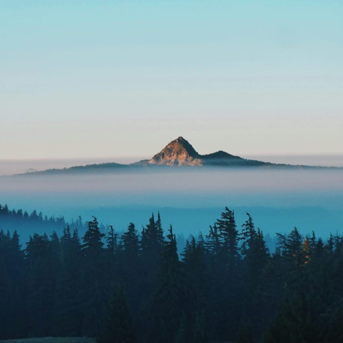 Serene Misty Mountain Peak With Forest And Pastel Sky At Sunrise, Ideal For Nature Lovers.