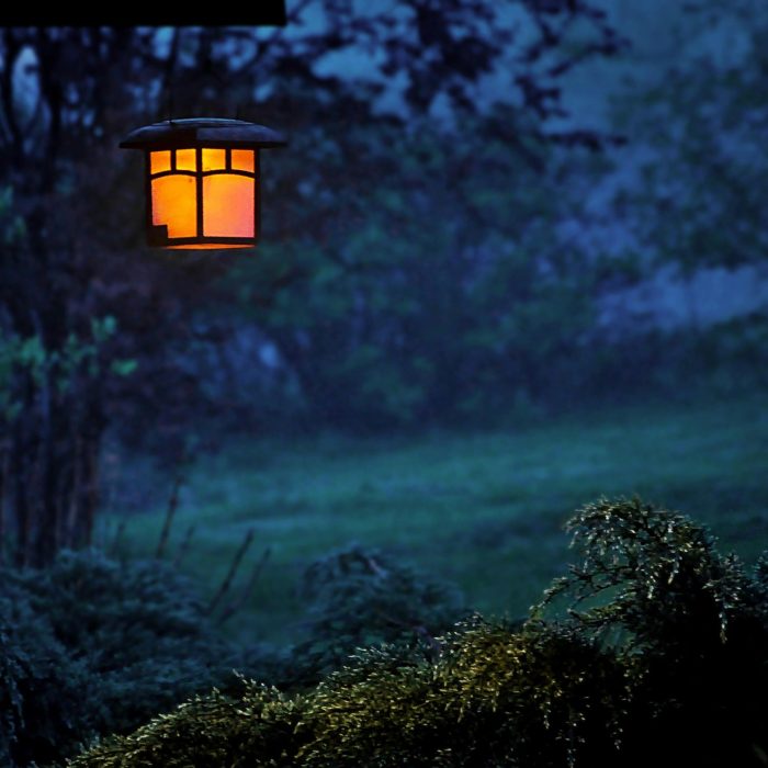 Serene Outdoor Night Scene With A Glowing Lamp Illuminating Foggy Woods.