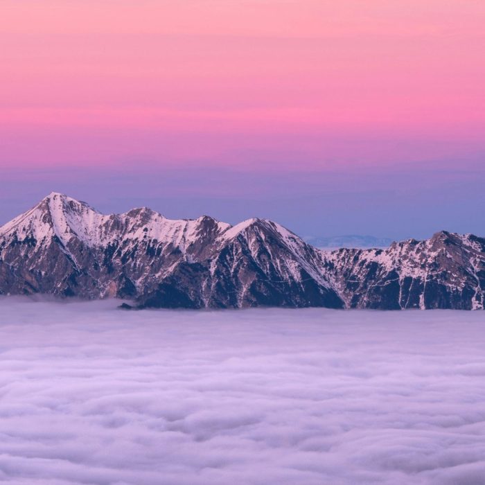 Breathtaking View Of A Snow Covered Mountain Peak Rising Above Clouds During A Stunning Pink Sunrise.