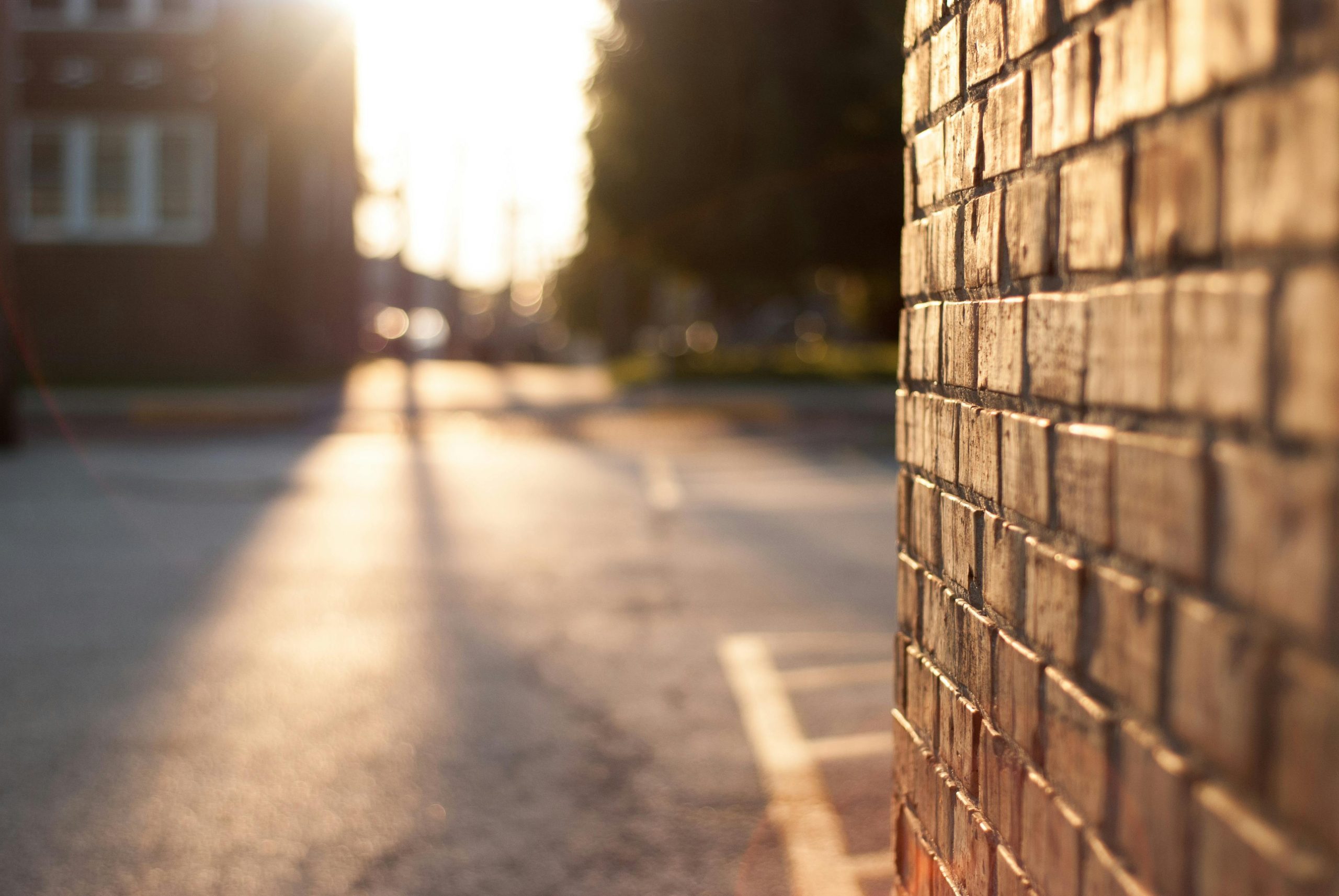 pexels-photo-858076-scaled-1.jpeg