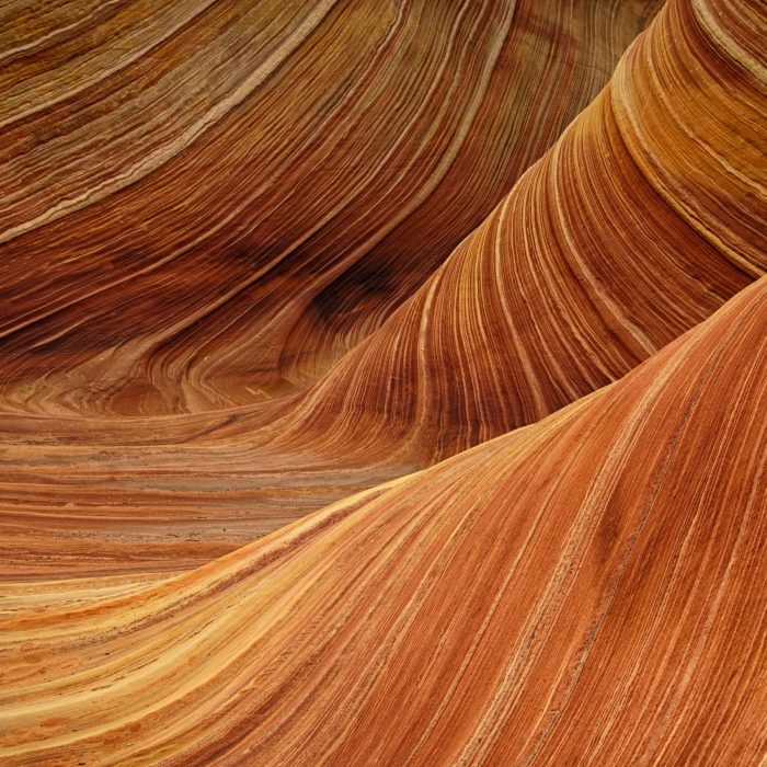 Breathtaking View Of The Vibrant Undulating Sandstone Formations In The Wave, Arizona.